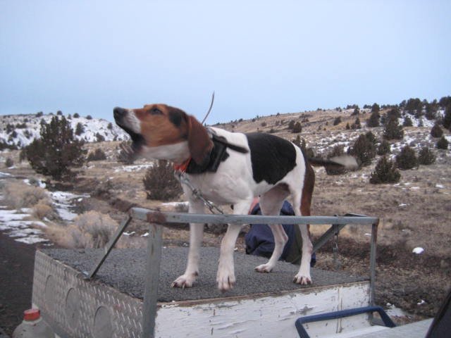 Customize Your Tour!