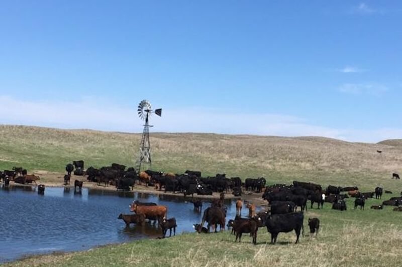 Heart of the Sandhills