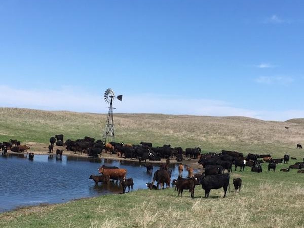 Heart of the Sandhills